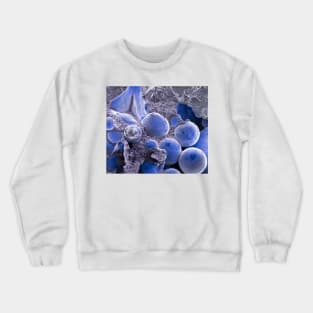 Sintered titanuim beads, SEM (C021/5671) Crewneck Sweatshirt